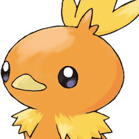 Torchic