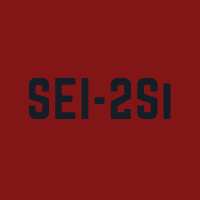 SEI-2Si