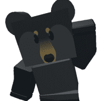 Black Bear