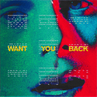 5 Seconds of Summer - Want You Back