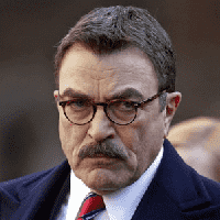 Blue Bloods (2010)