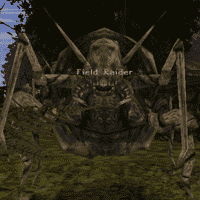 Field Raider (Beast)