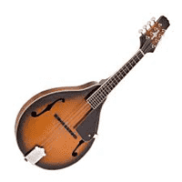 Mandolin