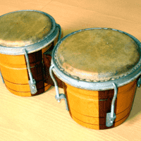 Bongo Drum