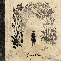 Sigur Rós - Hoppípolla