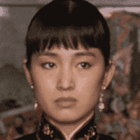 Raise the Red Lantern (1991)