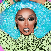 The Vixen