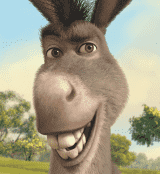 Donkey Personality Type, MBTI - Which Personality?