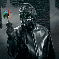 Pilot