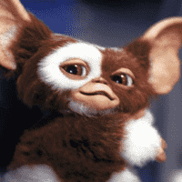 Gizmo