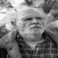 Nebraska (2013)