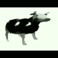 Dancing Polish Cow
