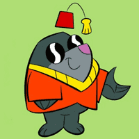 Morocco Mole