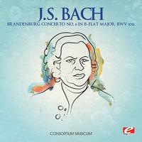 Johann Sebastian Bach - Brandenburg Concerto No. 6