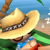 Beach Bro