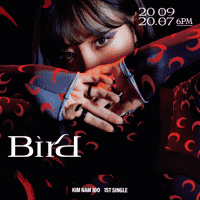 Namjoo - Bird