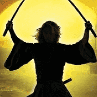 Young Samurai (Series)