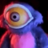 Blinky