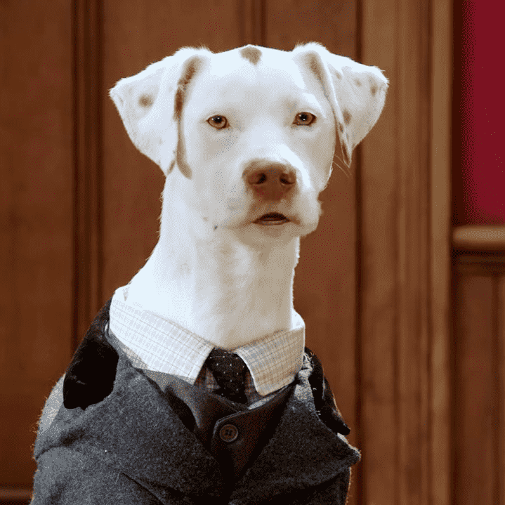 Professor Fitz