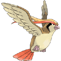 Pidgeot (Pigeot)