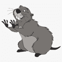 Gopher