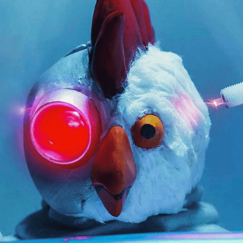 Robot Chicken