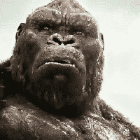 Kong