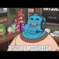 Discord mods be like: