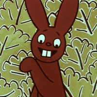 Zajíc