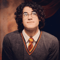 A Very Potter Musical - Harry