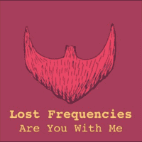 Lost Frequencies - Are You With Me?