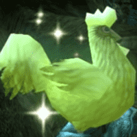 Golden Cucco