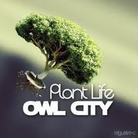 Plant Life - Owl City