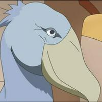 Shoebill