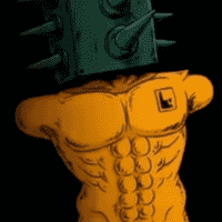 Flip Champion
