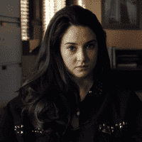 White Bird in a Blizzard (2014)