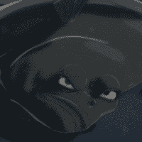 Flatfish