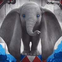 Dumbo