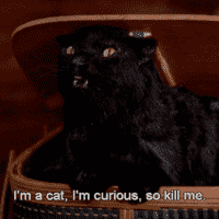 Salem Saberhagen