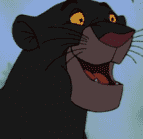 Bagheera