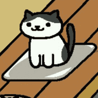 Chip
