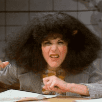 Roseanne Roseannadanna