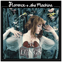 Florence + the Machine - Dog Days Are Over