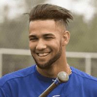 Lourdes Gurriel Jr.