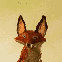 The Fox