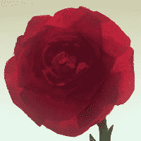 The Rose