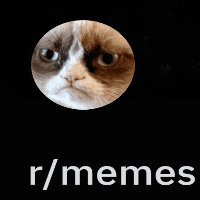 r/Memes
