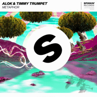 Alok & Timmy Trumpet - Metaphor