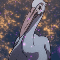 Pelico