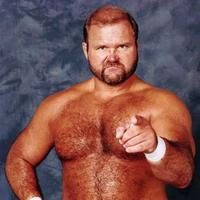 Arn Anderson